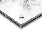 The Path Not Travled Acrylic print