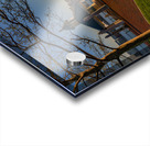 Day at the Park Acrylic print