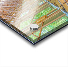 Natures Chapel Acrylic print