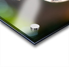 Got My Eye On You Acrylic print