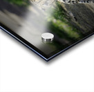 Here Kitty Kitty Acrylic print