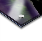 Wisconsin Flare Acrylic print