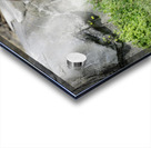 The Original Red Head Acrylic print