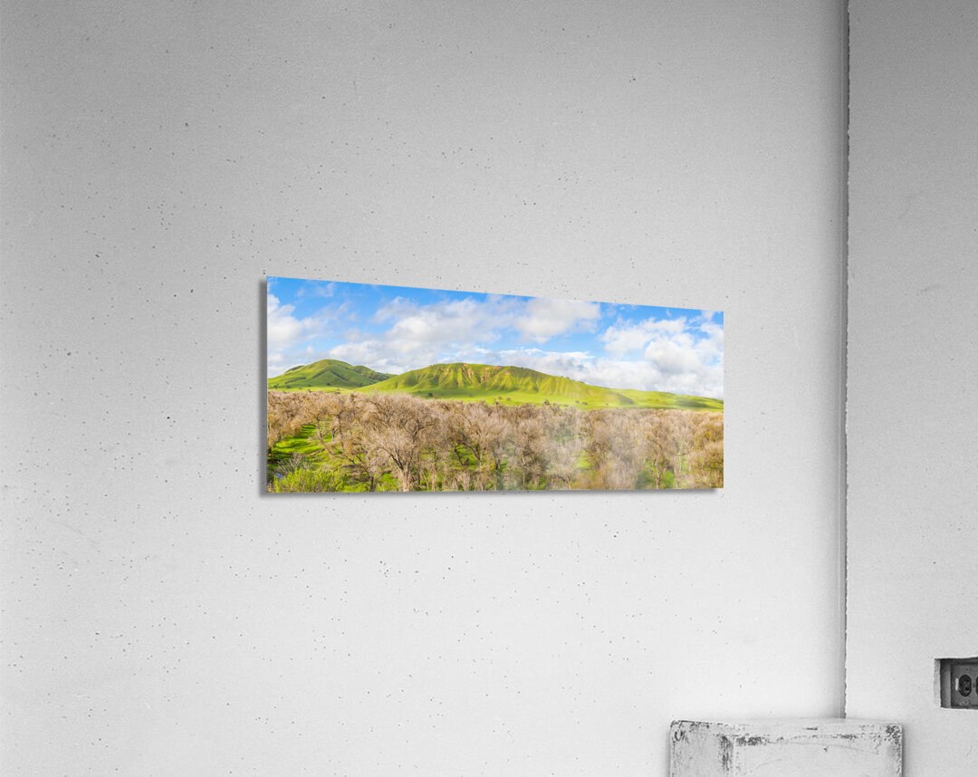 Untouched Hills Acrylic Print