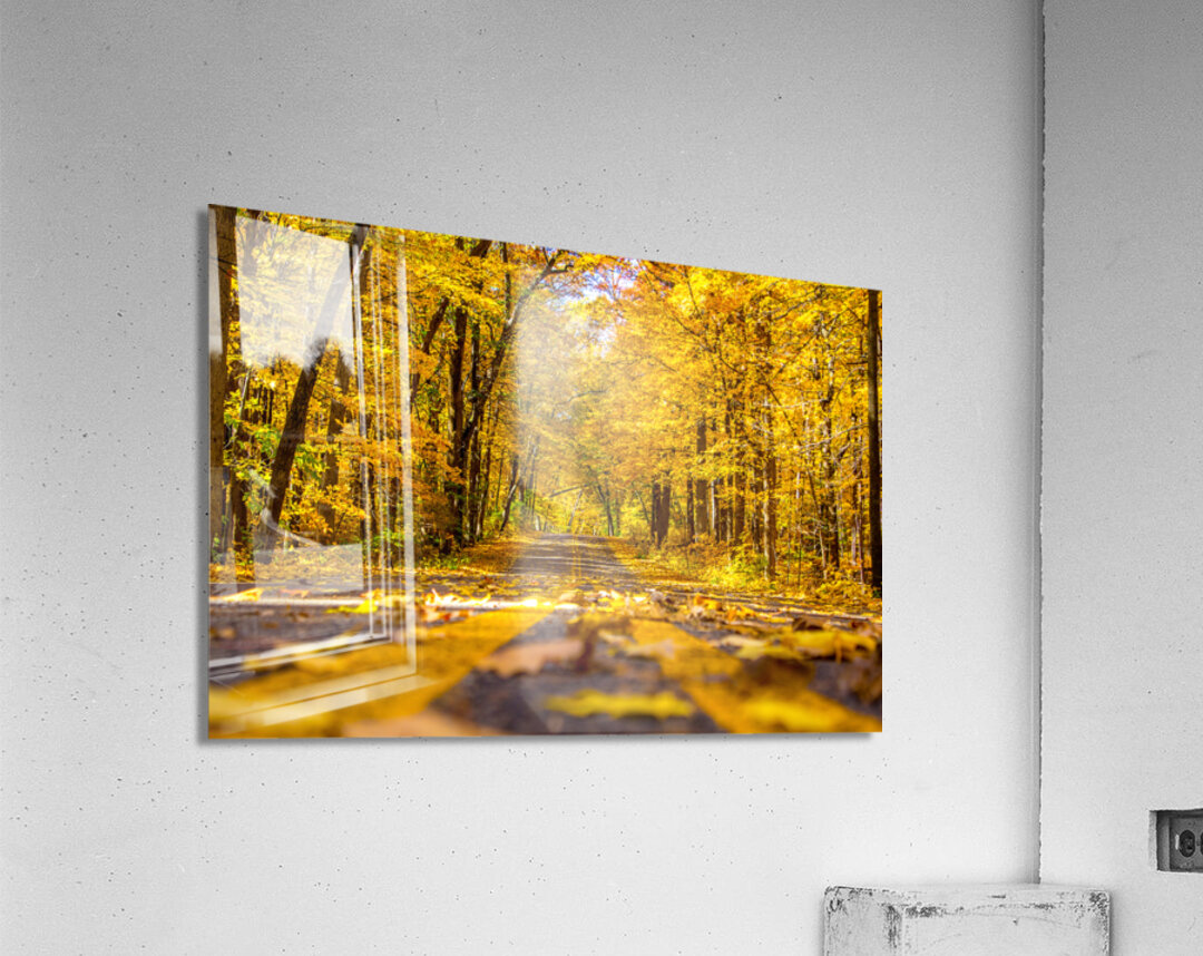 Yellow Leaf Road Acrylic Print