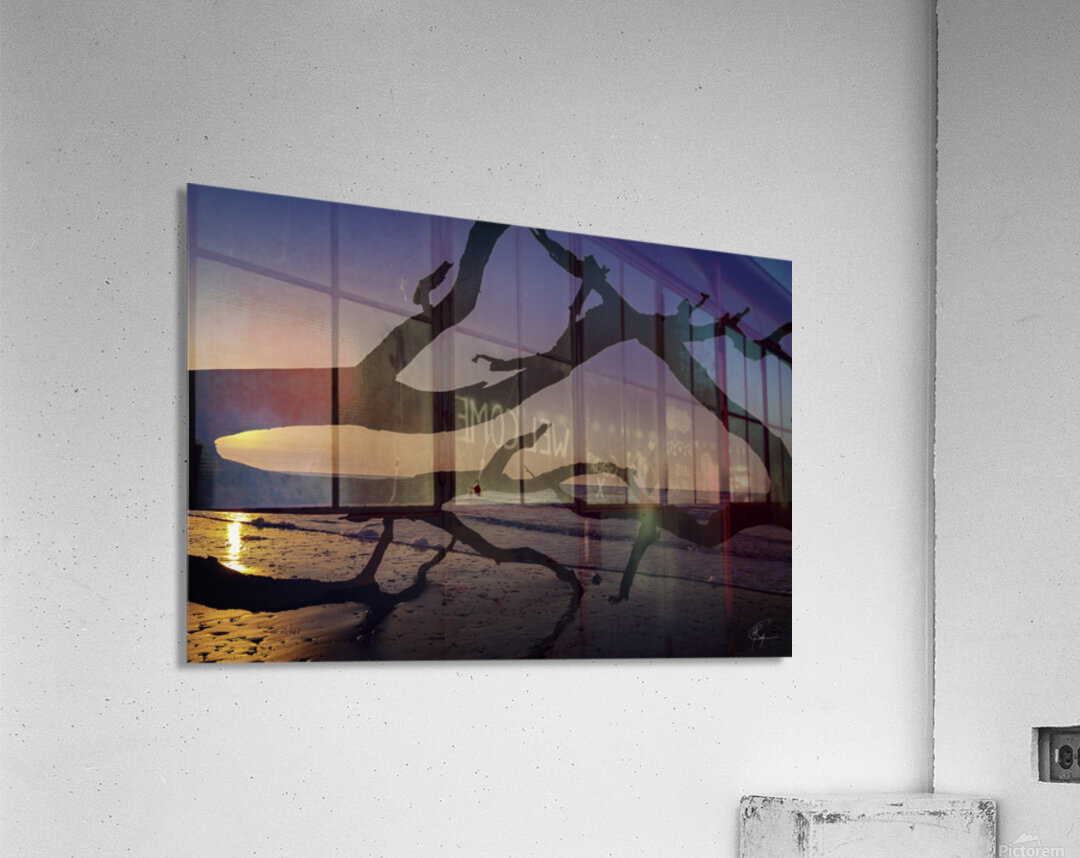 Driftwood Beach Sunrise Acrylic Print