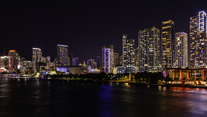 The Miami Nightlife
