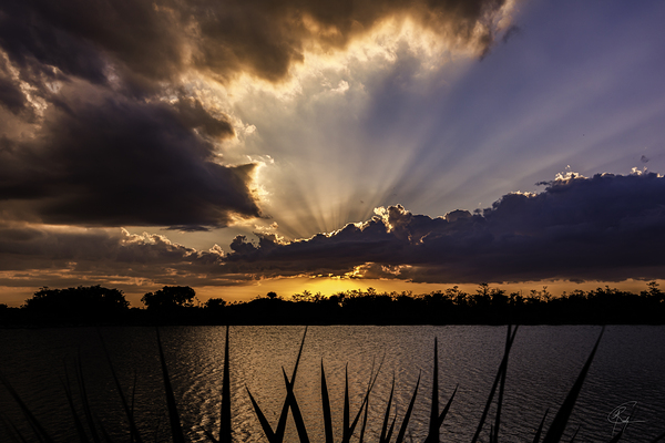 Everglades Sunset by C R Fine Arts by Branded Exposure LLC