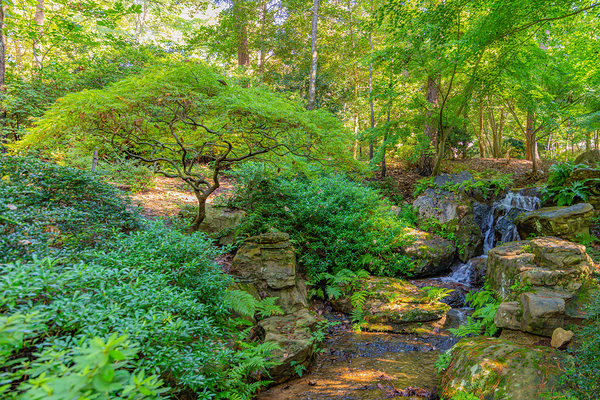 Paradise Garden by C R Fine Arts by Branded Exposure LLC