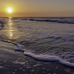 A Sunrise In Georgia