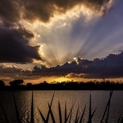Everglades Sunset