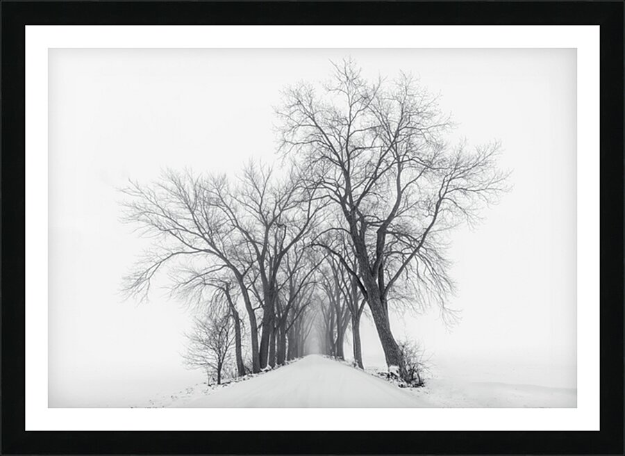 The Path Not Travled Picture Frame print