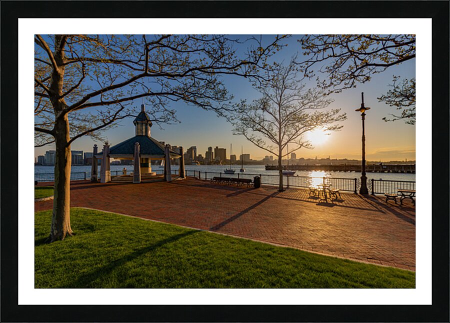 Day at the Park Picture Frame print