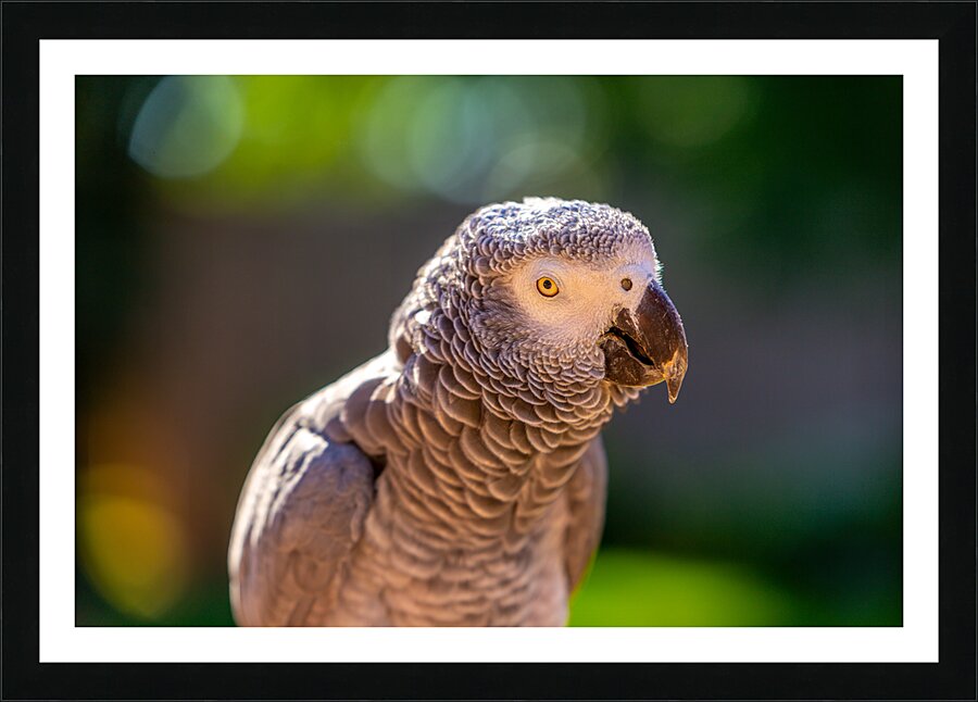 Got My Eye On You Picture Frame print