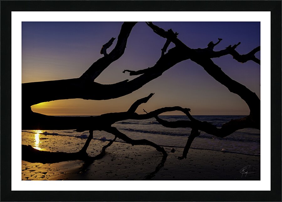 Driftwood Beach Sunrise Picture Frame print