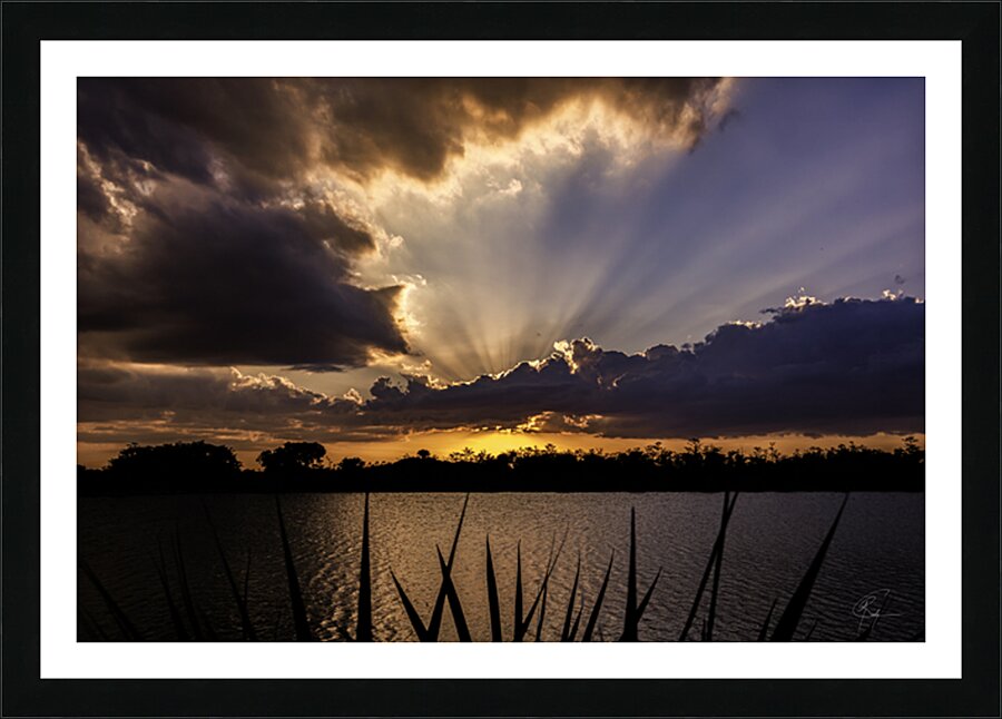 Everglades Sunset Picture Frame print