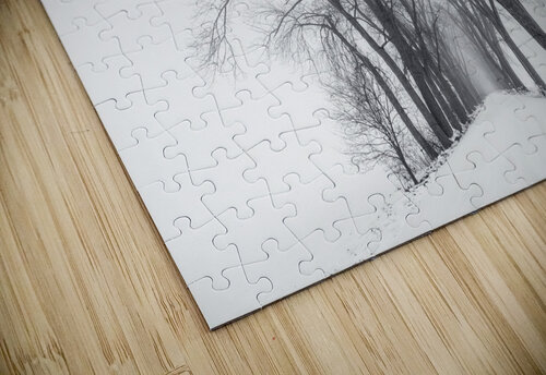 The Path Not Travled C R Fine Arts by Branded Exposure LLC puzzle