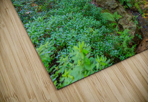 Paradise Garden C R Fine Arts by Branded Exposure LLC puzzle