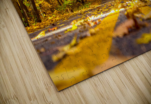 Yellow Leaf Road C R Fine Arts by Branded Exposure LLC puzzle