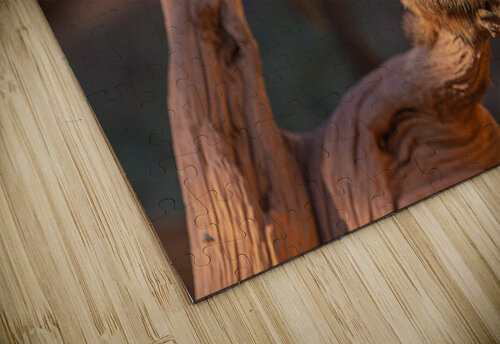 Prairie Dog Hangin Out C R Fine Arts by Branded Exposure LLC puzzle