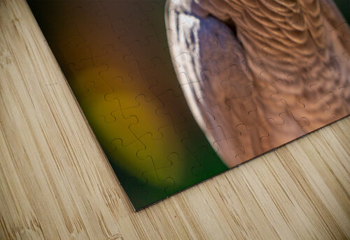 Got My Eye On You C R Fine Arts by Branded Exposure LLC puzzle