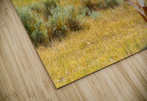 Broken Horn C R Fine Arts by Branded Exposure LLC puzzle