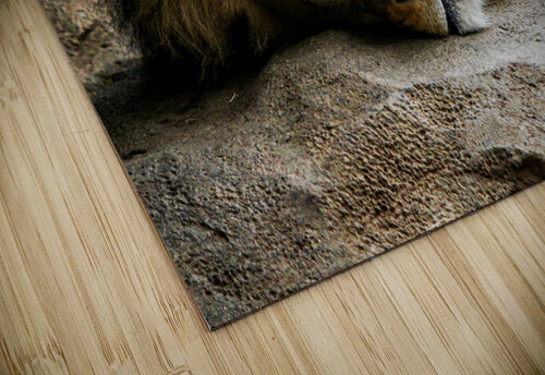 The King Relaxes C R Fine Arts by Branded Exposure LLC puzzle