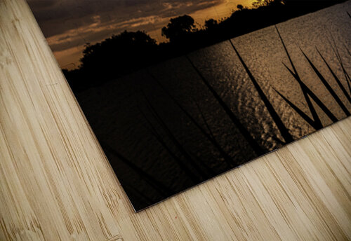 Everglades Sunset C R Fine Arts by Branded Exposure LLC puzzle
