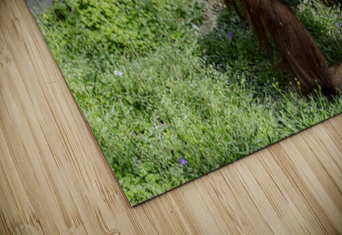 The Original Red Head C R Fine Arts by Branded Exposure LLC puzzle