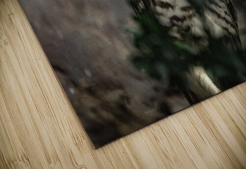 Who Who You Looking At C R Fine Arts by Branded Exposure LLC puzzle