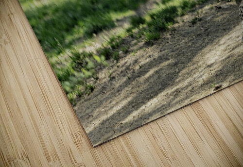 We See You C R Fine Arts by Branded Exposure LLC puzzle