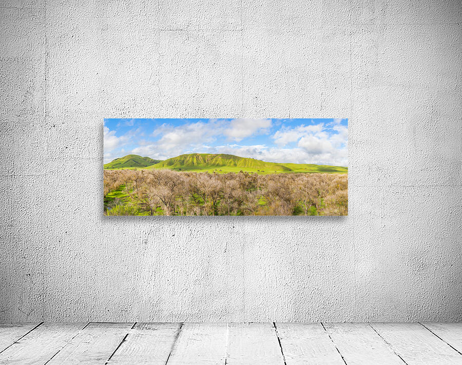 Untouched Hills Wall Preview