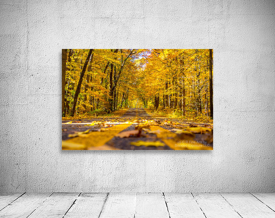 Yellow Leaf Road Wall Preview