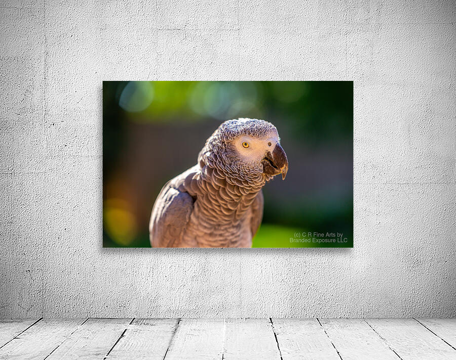 Got My Eye On You Wall Preview