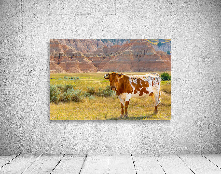 Broken Horn Wall Preview