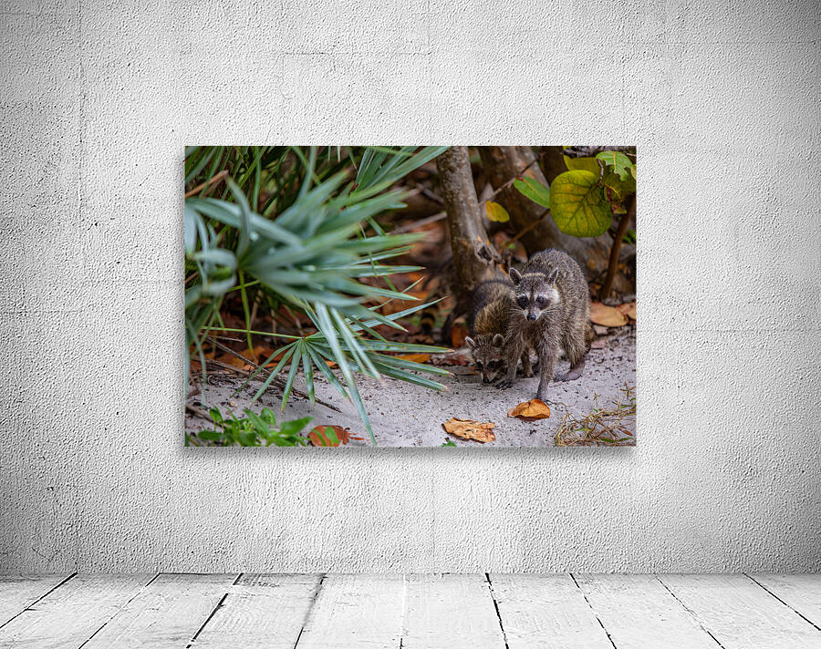 Miami Critters Wall Preview