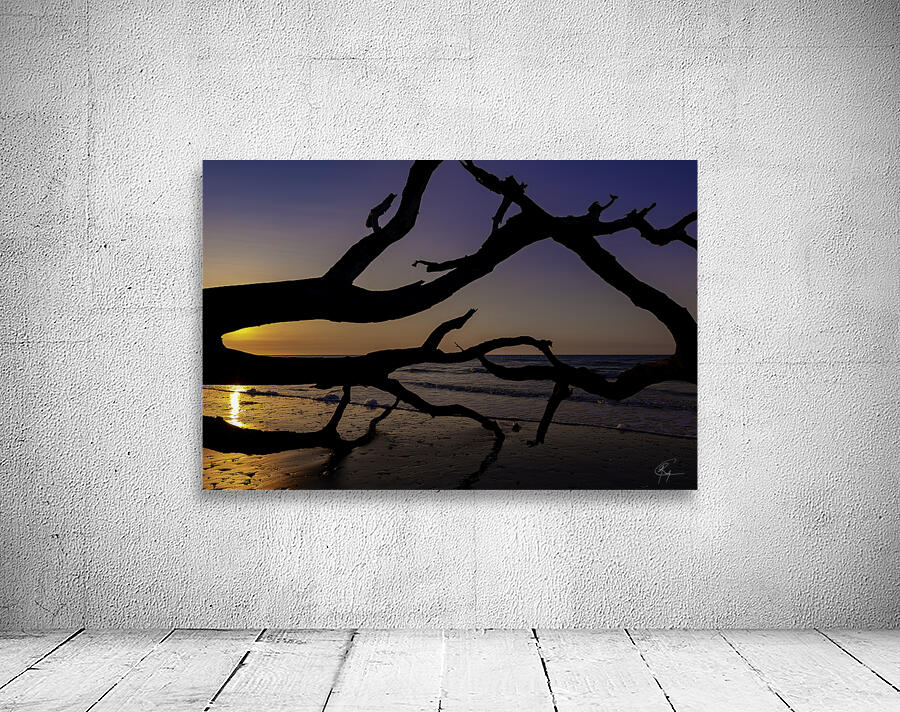 Driftwood Beach Sunrise Wall Preview