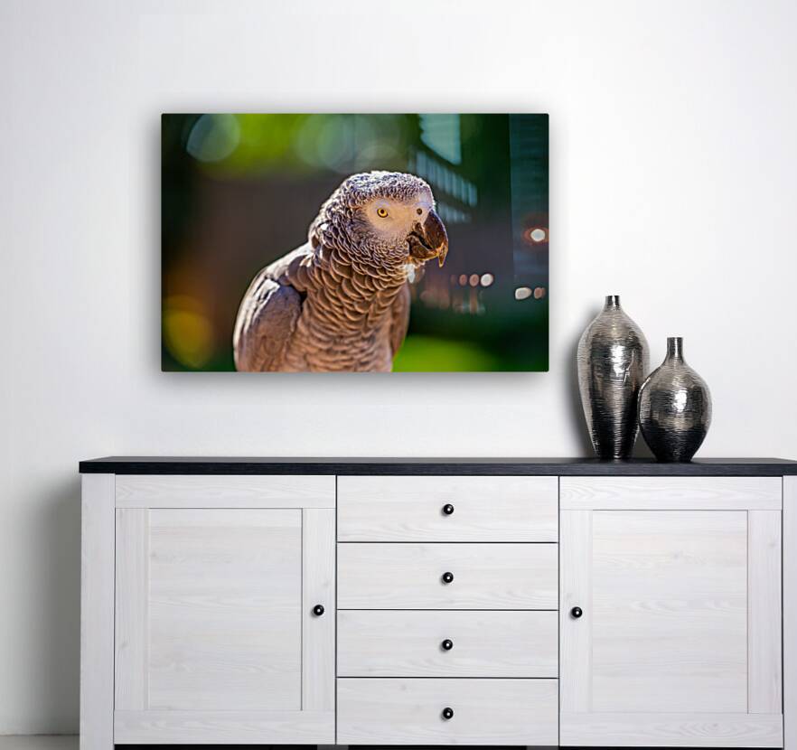 Got My Eye On You Reproduction