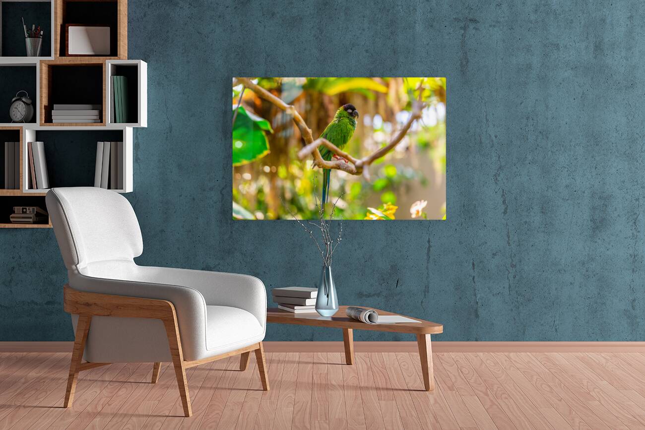 Sleepytime Parrot Reproduction