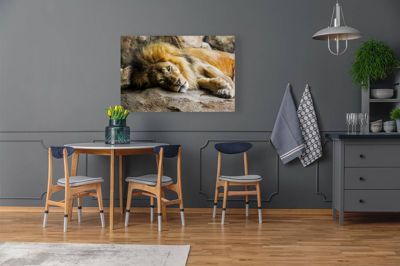 The King Relaxes Reproduction