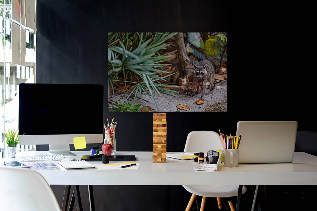 Miami Critters Reproduction