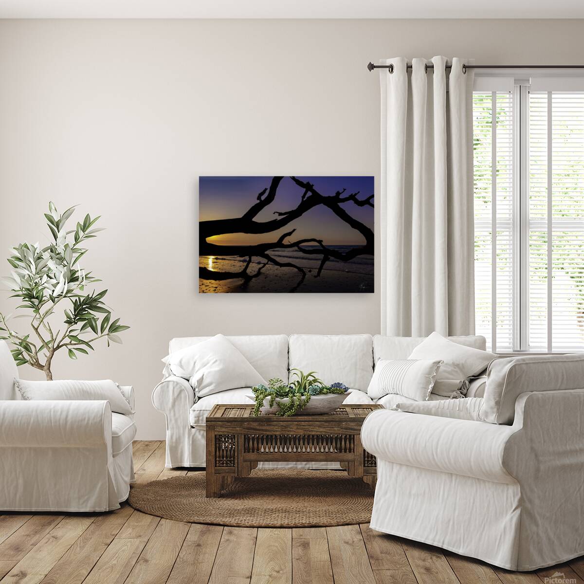 Driftwood Beach Sunrise Reproduction